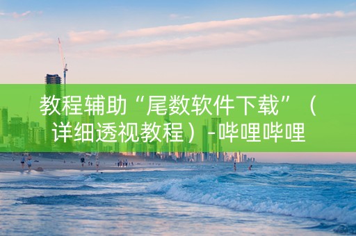 教程辅助“尾数软件下载”（详细透视教程）-哔哩哔哩