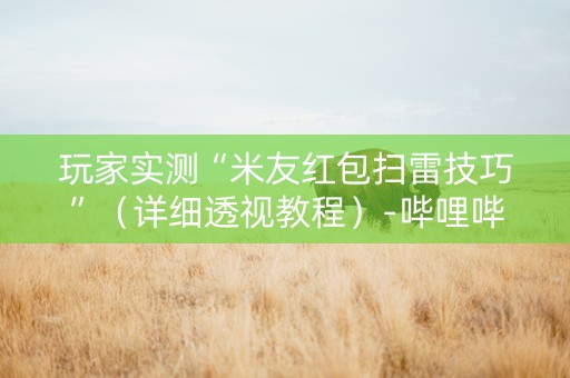 玩家实测“米友红包扫雷技巧”（详细透视教程）-哔哩哔哩