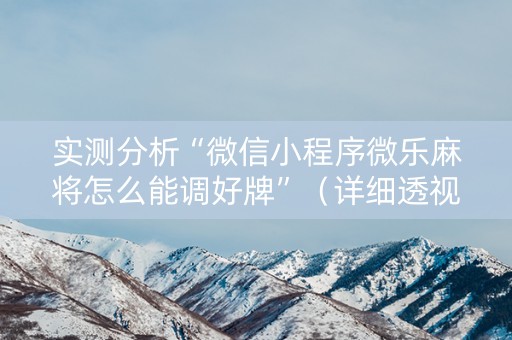 实测分析“微信小程序微乐麻将怎么能调好牌”（详细透视教程）-哔哩哔哩