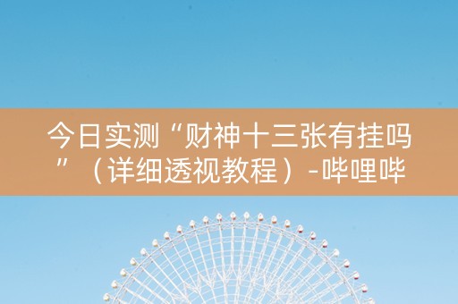 今日实测“财神十三张有挂吗”（详细透视教程）-哔哩哔哩