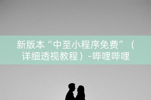新版本“中至小程序免费”（详细透视教程）-哔哩哔哩