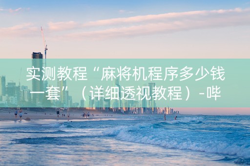 实测教程“麻将机程序多少钱一套”（详细透视教程）-哔哩哔哩