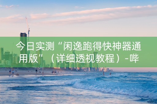 今日实测“闲逸跑得快神器通用版”（详细透视教程）-哔哩哔哩