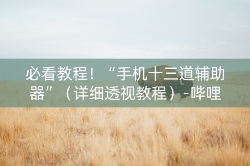 必看教程！“手机十三道辅助器”（详细透视教程）-哔哩哔哩