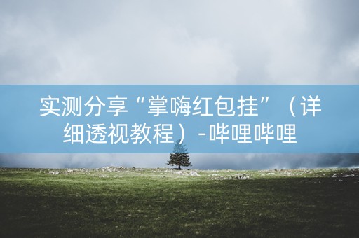 实测分享“掌嗨红包挂”（详细透视教程）-哔哩哔哩