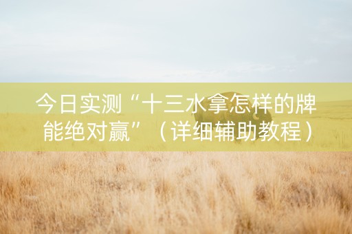 今日实测“十三水拿怎样的牌能绝对赢”（详细辅助教程）-哔哩哔哩