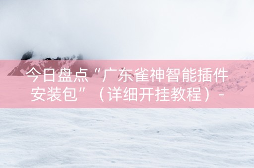 今日盘点“广东雀神智能插件安装包”（详细开挂教程）-哔哩哔哩