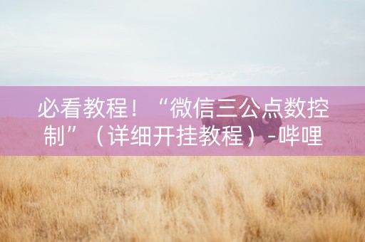 必看教程！“微信三公点数控制”（详细开挂教程）-哔哩哔哩