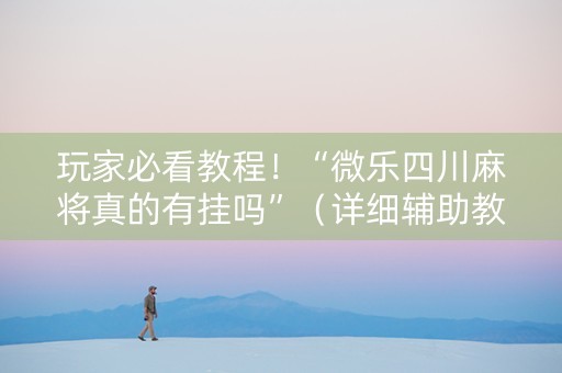 玩家必看教程！“微乐四川麻将真的有挂吗”（详细辅助教程）-哔哩哔哩