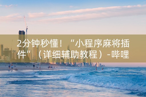 2分钟秒懂！“小程序麻将插件”（详细辅助教程）-哔哩哔哩