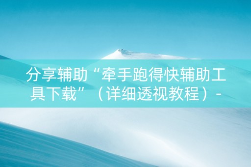 分享辅助“牵手跑得快辅助工具下载”（详细透视教程）-哔哩哔哩