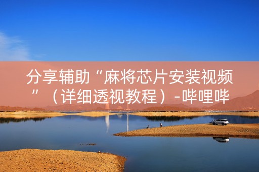 分享辅助“麻将芯片安装视频”（详细透视教程）-哔哩哔哩