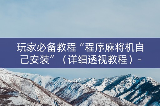 玩家必备教程“程序麻将机自己安装”（详细透视教程）-哔哩哔哩