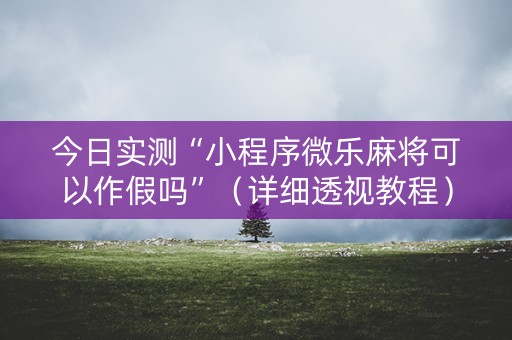 今日实测“小程序微乐麻将可以作假吗”（详细透视教程）-哔哩哔哩
