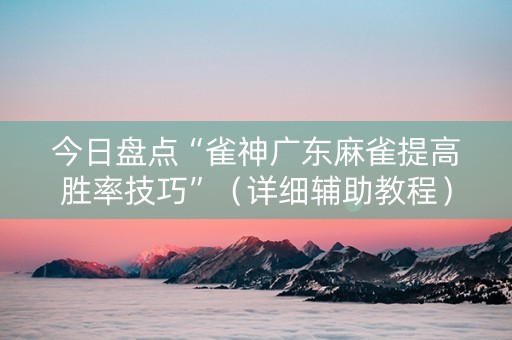 今日盘点“雀神广东麻雀提高胜率技巧”（详细辅助教程）-哔哩哔哩