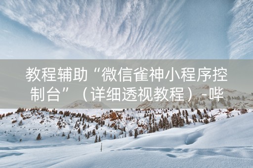 教程辅助“微信雀神小程序控制台”（详细透视教程）-哔哩哔哩