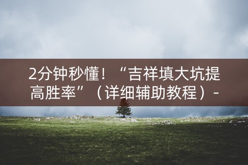 2分钟秒懂！“吉祥填大坑提高胜率”（详细辅助教程）-哔哩哔哩