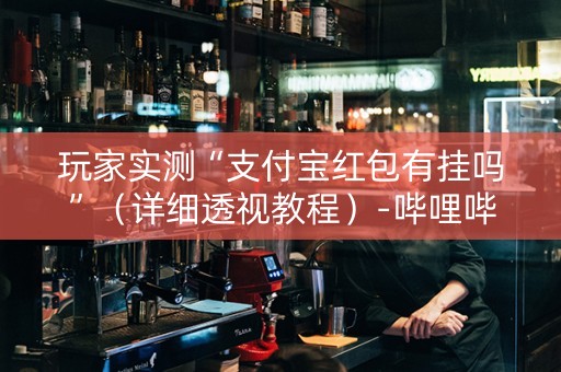 玩家实测“支付宝红包有挂吗”（详细透视教程）-哔哩哔哩