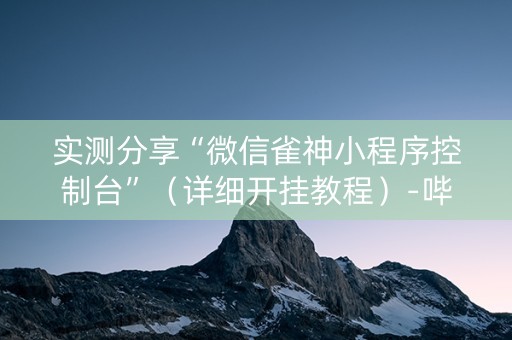 实测分享“微信雀神小程序控制台”（详细开挂教程）-哔哩哔哩