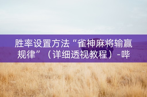 胜率设置方法“雀神麻将输赢规律”（详细透视教程）-哔哩哔哩