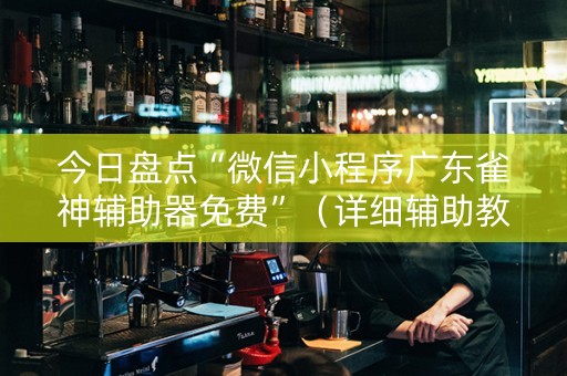 今日盘点“微信小程序广东雀神辅助器免费”（详细辅助教程）-哔哩哔哩