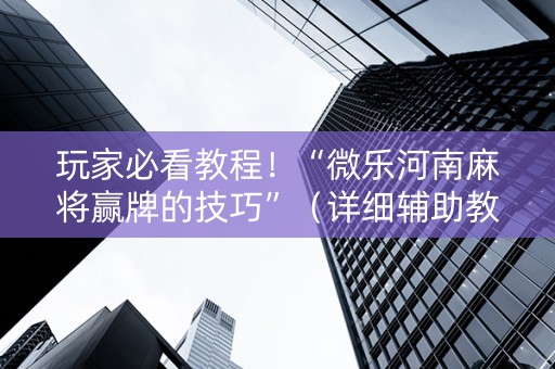 玩家必看教程！“微乐河南麻将赢牌的技巧”（详细辅助教程）-哔哩哔哩