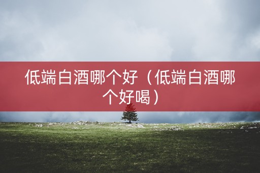 低端白酒哪个好（低端白酒哪个好喝）