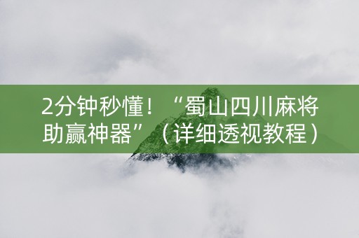 2分钟秒懂！“蜀山四川麻将助赢神器”（详细透视教程）-哔哩哔哩