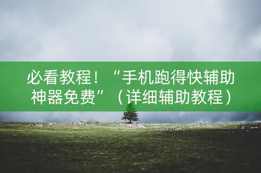 必看教程！“手机跑得快辅助神器免费”（详细辅助教程）-哔哩哔哩