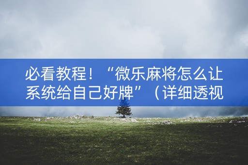 必看教程！“微乐麻将怎么让系统给自己好牌”（详细透视教程）-哔哩哔哩