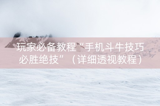 玩家必备教程“手机斗牛技巧必胜绝技”（详细透视教程）-哔哩哔哩
