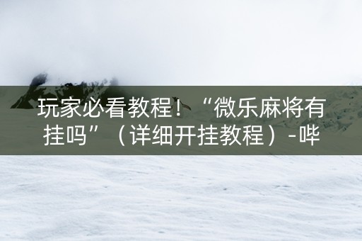 玩家必看教程！“微乐麻将有挂吗”（详细开挂教程）-哔哩哔哩