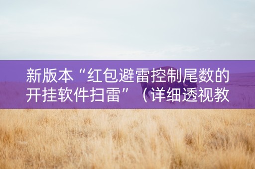 新版本“红包避雷控制尾数的开挂软件扫雷”（详细透视教程）-哔哩哔哩