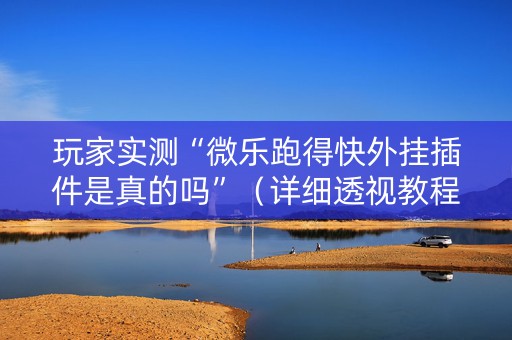 玩家实测“微乐跑得快外挂插件是真的吗”（详细透视教程）-哔哩哔哩