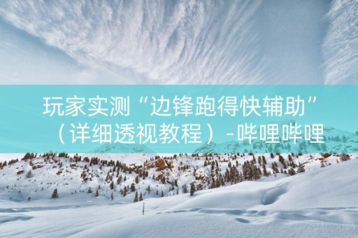 玩家实测“边锋跑得快辅助”（详细透视教程）-哔哩哔哩