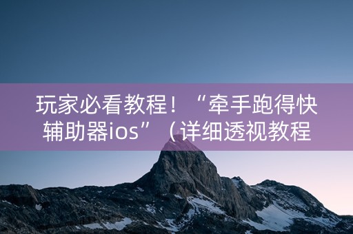玩家必看教程！“牵手跑得快辅助器ios”（详细透视教程）-哔哩哔哩