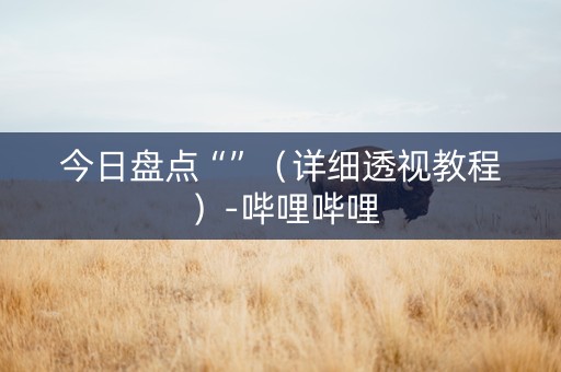 今日盘点“”（详细透视教程）-哔哩哔哩