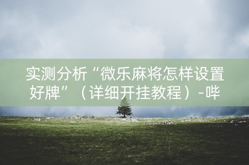 实测分析“微乐麻将怎样设置好牌”（详细开挂教程）-哔哩哔哩