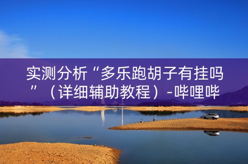 实测分析“多乐跑胡子有挂吗”（详细辅助教程）-哔哩哔哩