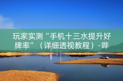 玩家实测“手机十三水提升好牌率”（详细透视教程）-哔哩哔哩