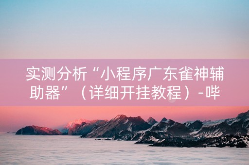 实测分析“小程序广东雀神辅助器”（详细开挂教程）-哔哩哔哩