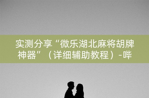 实测分享“微乐湖北麻将胡牌神器”（详细辅助教程）-哔哩哔哩