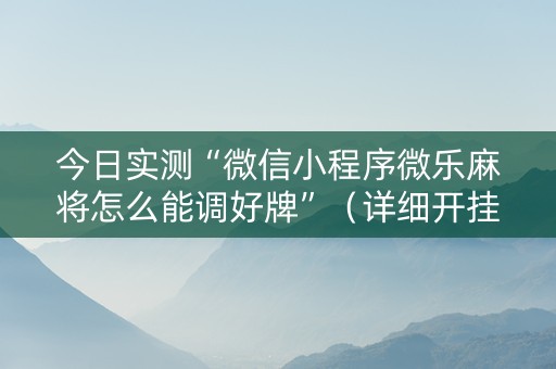今日实测“微信小程序微乐麻将怎么能调好牌”（详细开挂教程）-哔哩哔哩