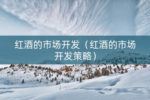 红酒的市场开发（红酒的市场开发策略）