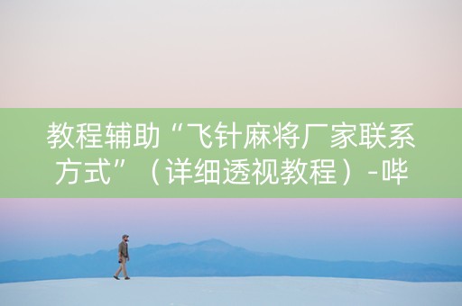 教程辅助“飞针麻将厂家联系方式”（详细透视教程）-哔哩哔哩