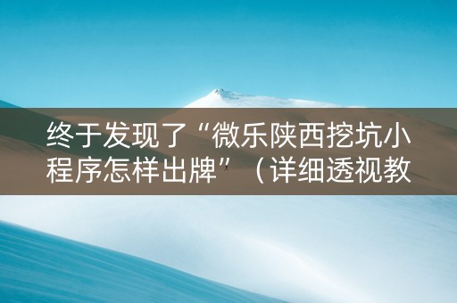 终于发现了“微乐陕西挖坑小程序怎样出牌”（详细透视教程）-哔哩哔哩