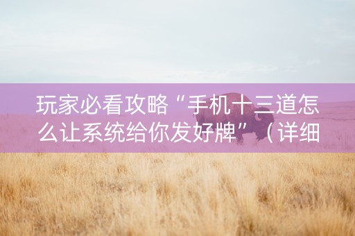 玩家必看攻略“手机十三道怎么让系统给你发好牌”（详细透视教程）-哔哩哔哩