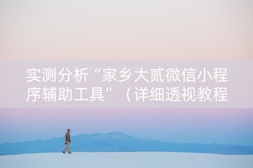 实测分析“家乡大贰微信小程序辅助工具”（详细透视教程）-哔哩哔哩