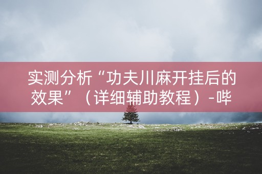 实测分析“功夫川麻开挂后的效果”（详细辅助教程）-哔哩哔哩