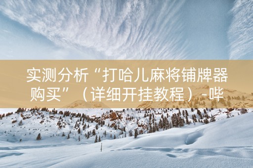 实测分析“打哈儿麻将铺牌器购买”（详细开挂教程）-哔哩哔哩